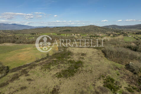 Arezzo azienda vitiv