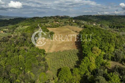 Azienda agricola ric