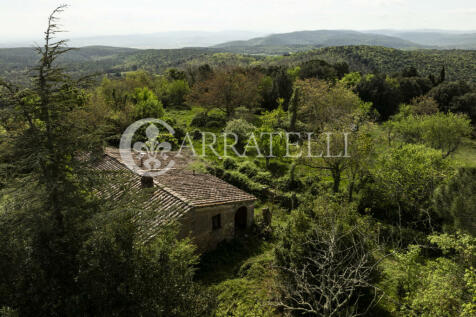 Casale nel bosco da 