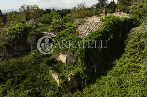 Casale nel bosco da 