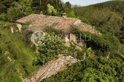 Casale nel bosco da 