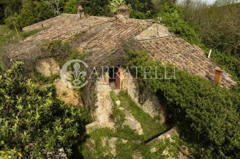 Casale nel bosco da 