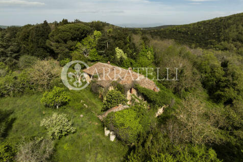 Casale nel bosco da 