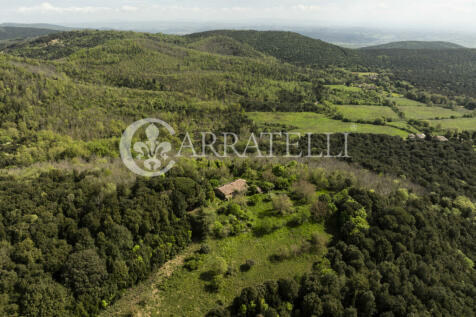 Casale nel bosco da 