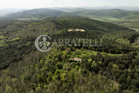 Casale nel bosco da 