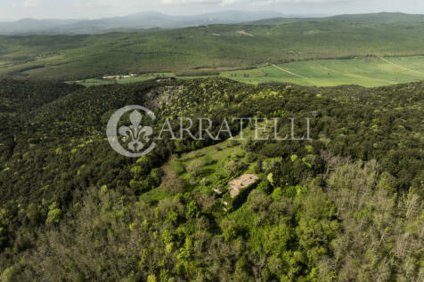 Casale nel bosco da 