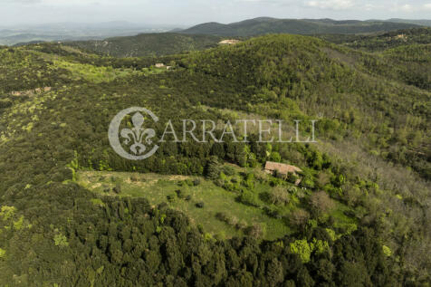 Casale nel bosco da 