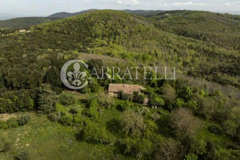 Casale nel bosco da 