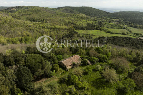 Casale nel bosco da 