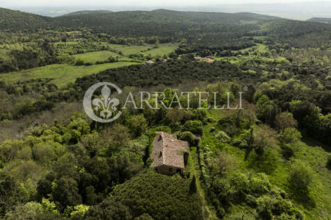 Casale nel bosco da 