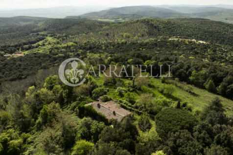 Casale nel bosco da 