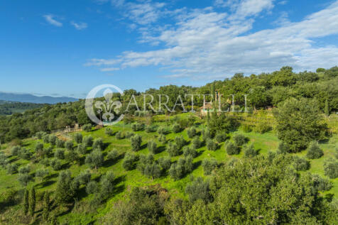 Agriturismo panorami