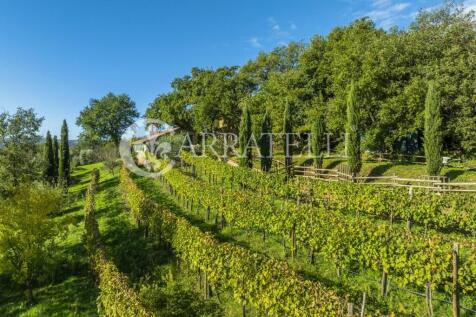 Agriturismo panorami