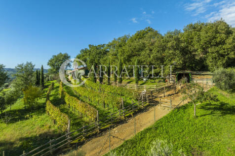 Agriturismo panorami