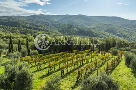 Agriturismo panorami