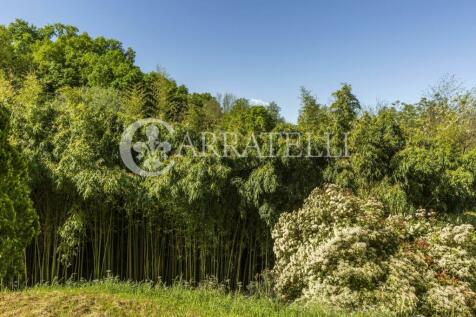 Casale con giardino 