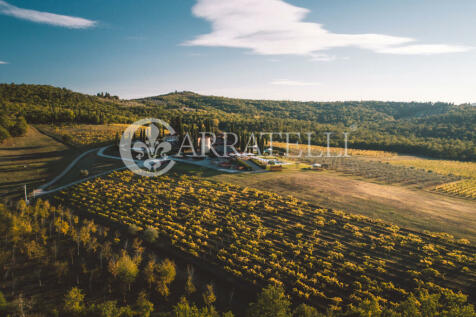 Azienda agricola con