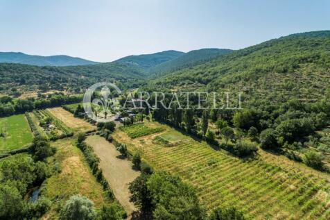 Azienda agricola e a