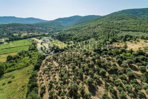 Azienda agricola e a