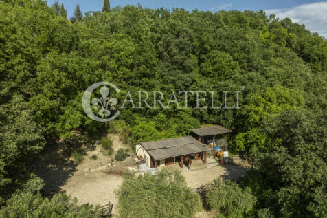 Villa panoramica con