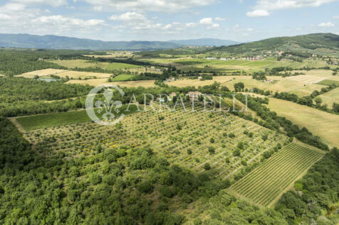 Splendida tenuta con