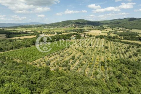 Splendida tenuta con