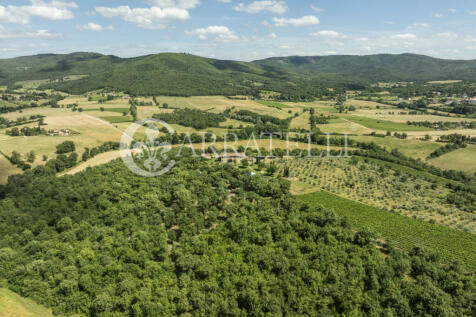 Splendida tenuta con