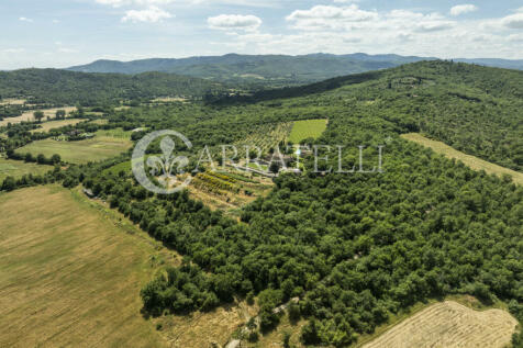 Splendida tenuta con