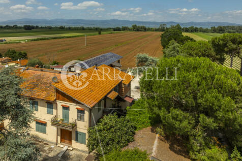 Lago Trasimeno resid
