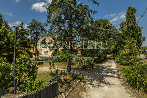 Lago Trasimeno resid