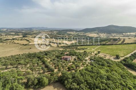 Azienda Agricola con