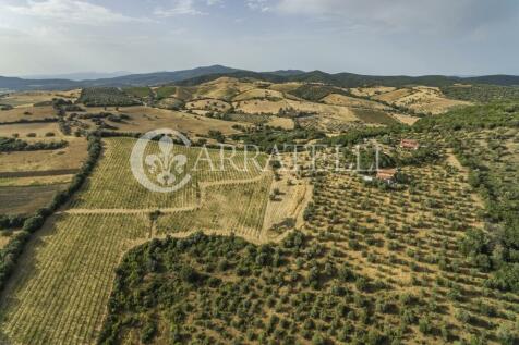 Azienda Agricola con