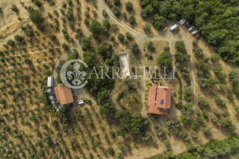 Azienda Agricola con