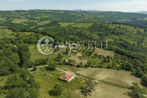 Azienda agricola con