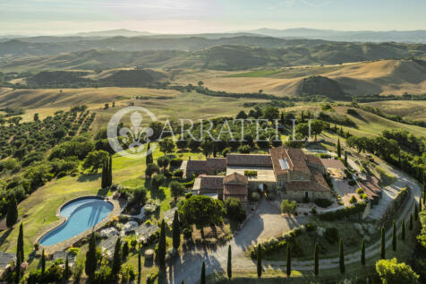Cinigiano magnifica 