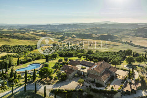 Cinigiano magnifica 