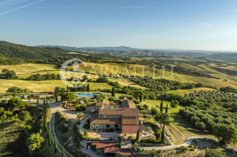 Cinigiano magnifica 