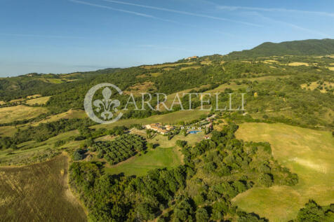 Cinigiano magnifica 