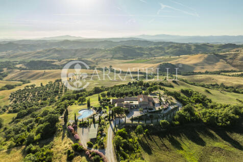 Cinigiano magnifica 