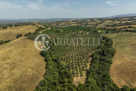 Scansano Villa d&#39;epo