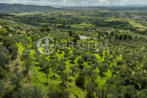 Casale panoramico co