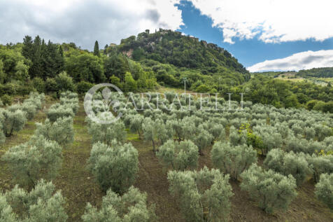 Casale in pietra a C