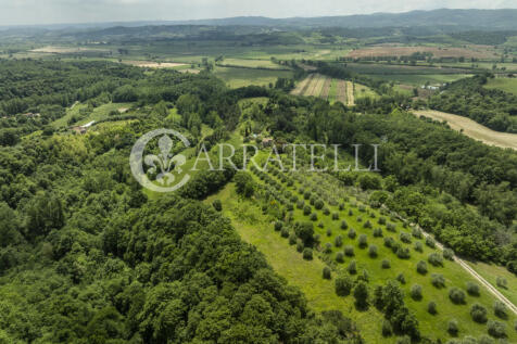 Città della Pieve c