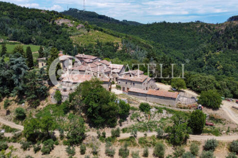 Azienda agricola con