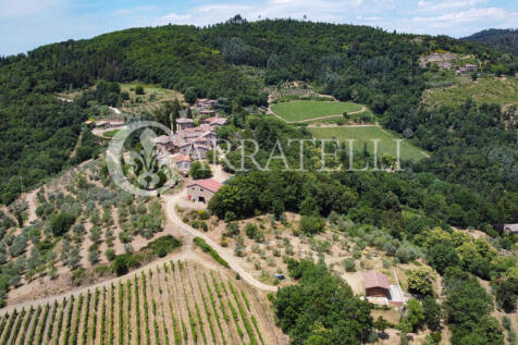 Azienda agricola con