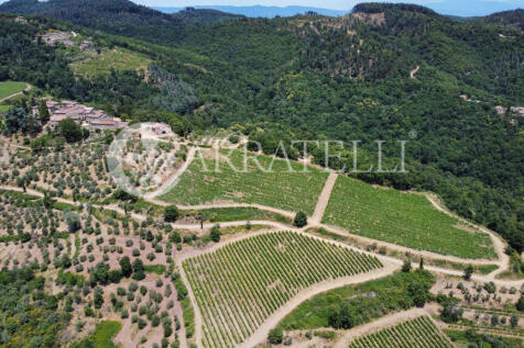 Azienda agricola con