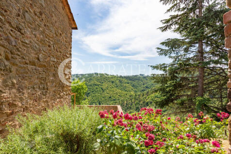Azienda agricola con