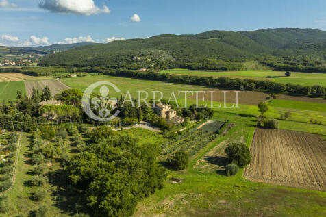 Magnifico casale con