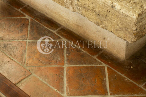 Antico casale con an