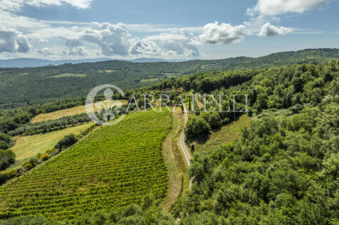 Arezzo casale in pie